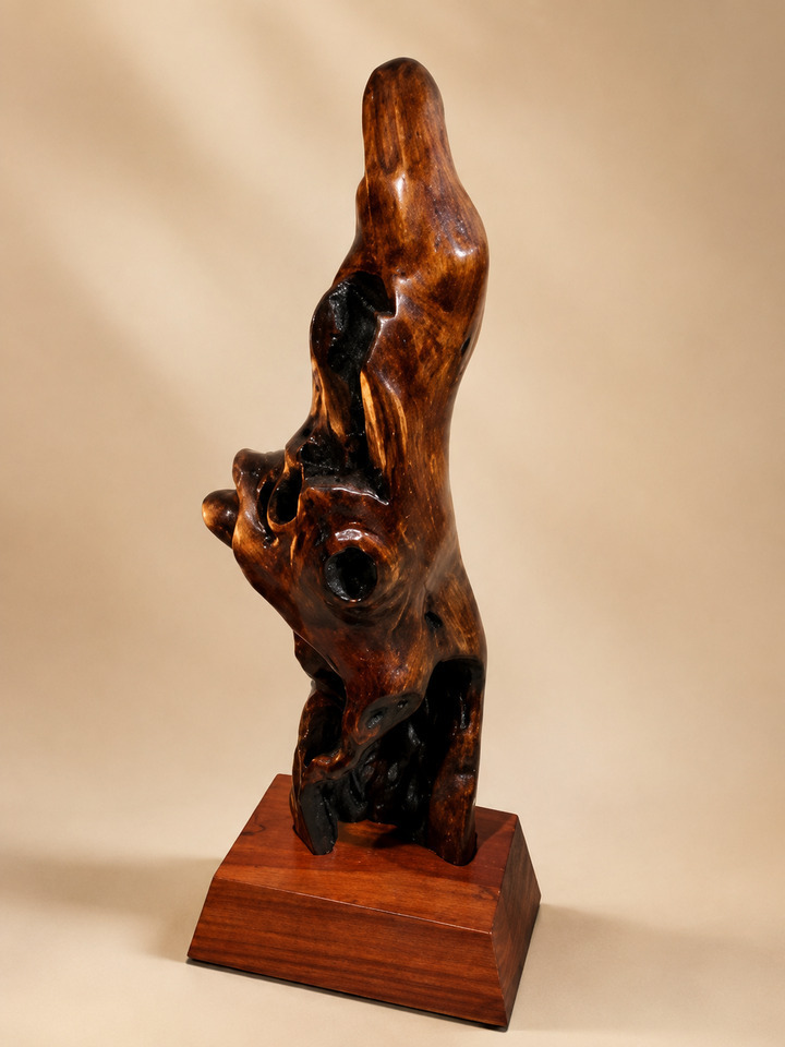 Sculptural Driftwood Beside Lamp